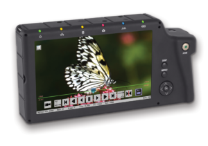 Use back screen display on the Fastec TS5 high speed camera to replay event for slow motion analysis, such as this flying butterfly