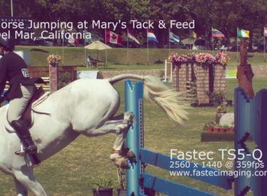 Jumping horse on obstacle course filmed with a Fastec TS5-Q high speed camera