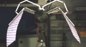 Robotic Bat from SiliconSynapse Lab